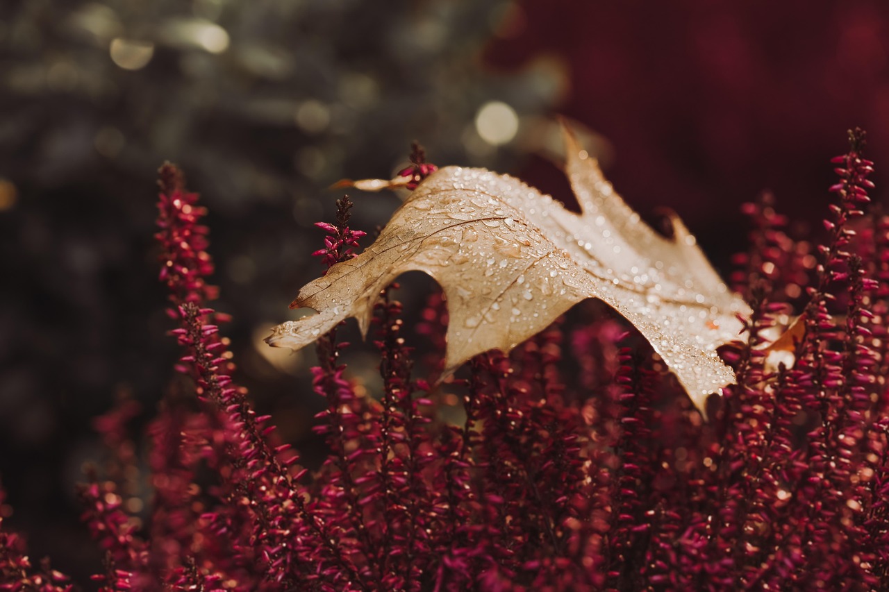 Klimrek in kleurrijk herfstsprookjesbos zelf gemaakt.