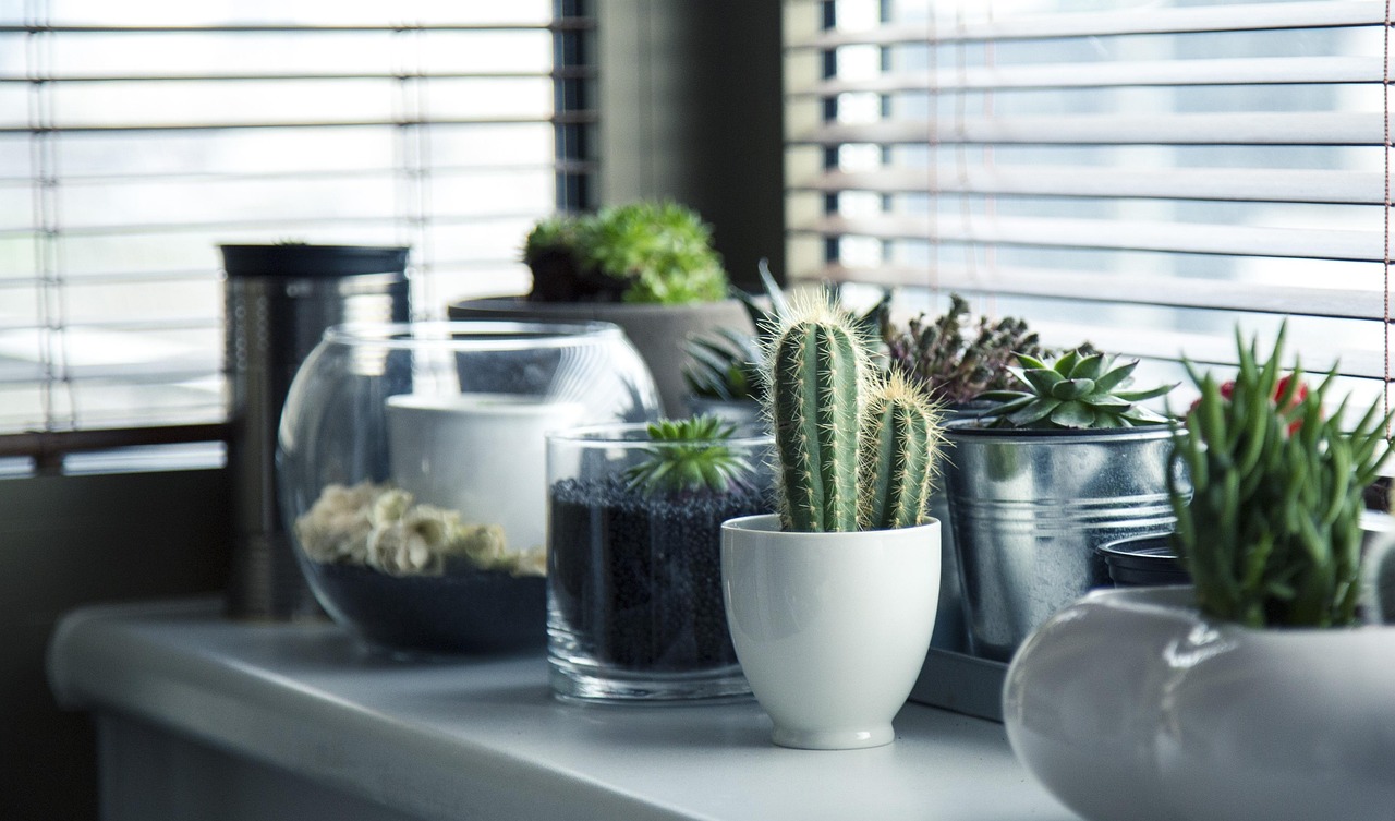 Klein terrarium met dennenappels en takken.