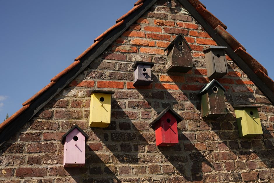 Geel geverfd vogelhuisje in herfsttuin. Geel geverfd vogelhuisje in herfsttuin.