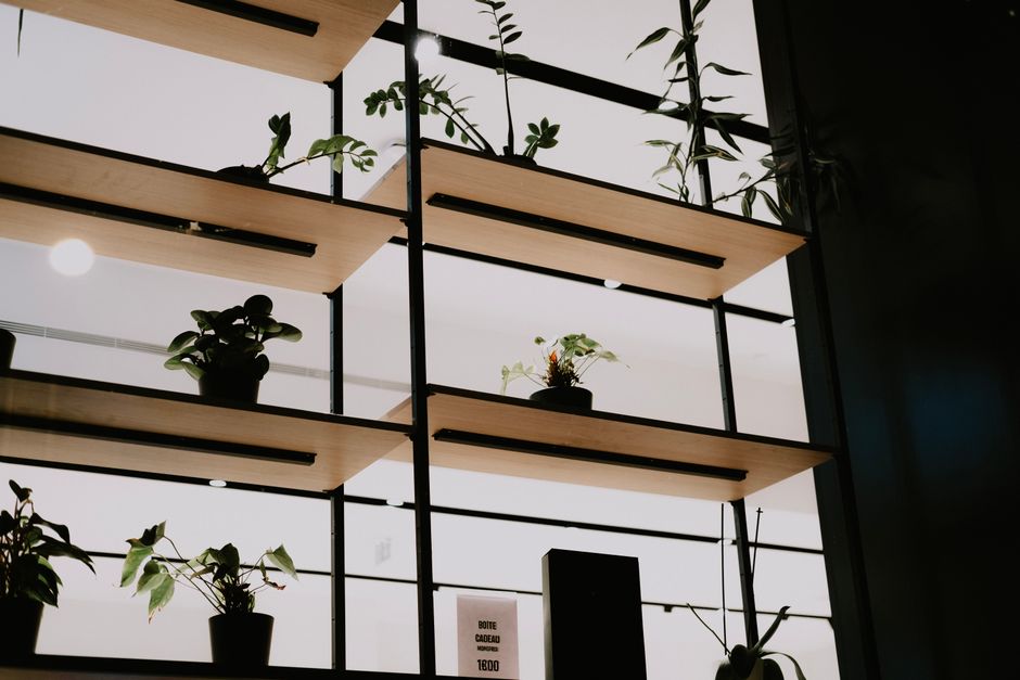Moderne tuinpotten in strakke, minimalistische herbariumhoek.